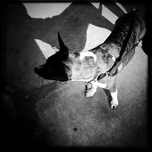 Christmas 2010 163.jpg