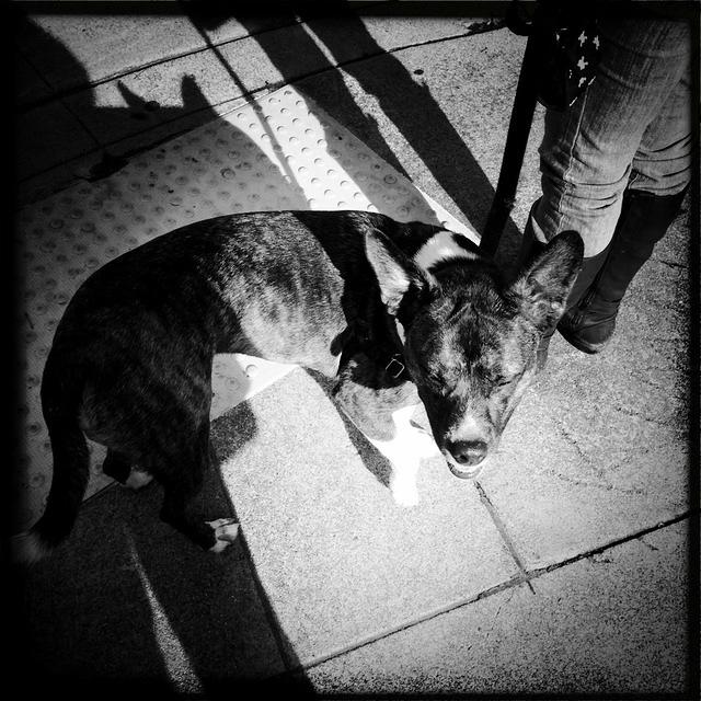 Christmas 2010 166.jpg