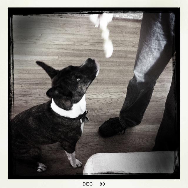 Christmas 2010 238.jpg