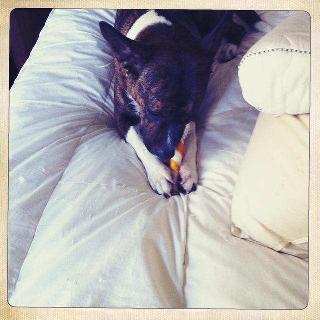 Christmas 2010 240.jpg