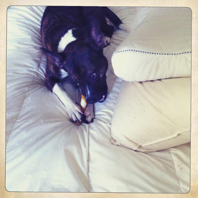 Christmas 2010 241.jpg