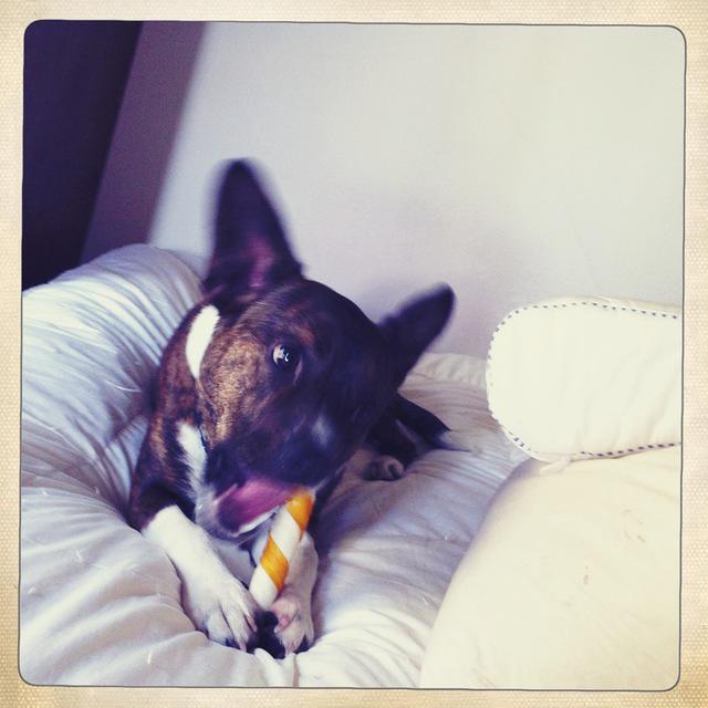 Christmas 2010 244.jpg