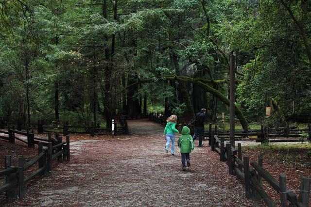 Christmas 2010 267.jpg