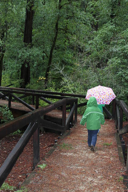 Christmas 2010 274.jpg