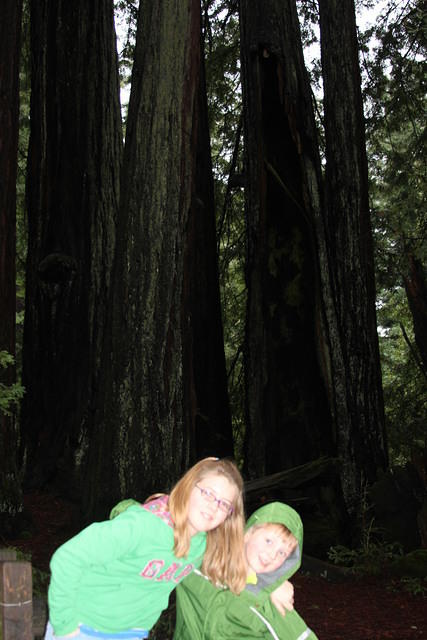 Christmas 2010 291.jpg