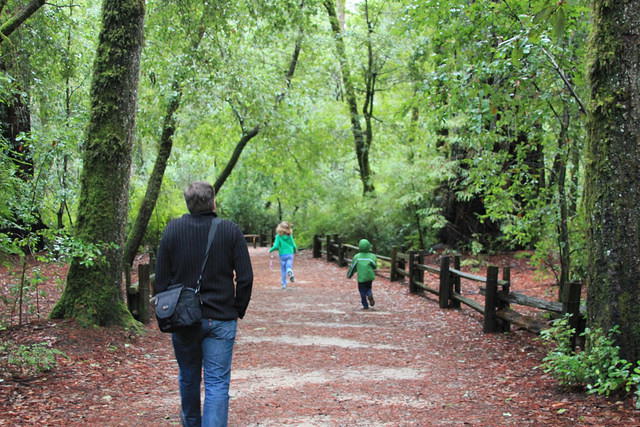 Christmas 2010 299.jpg