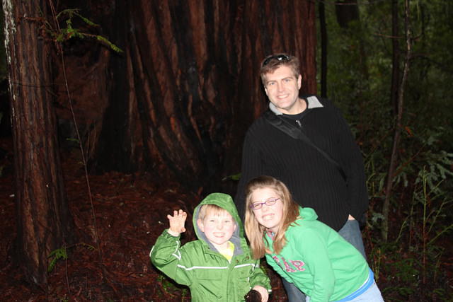 Christmas 2010 306.jpg