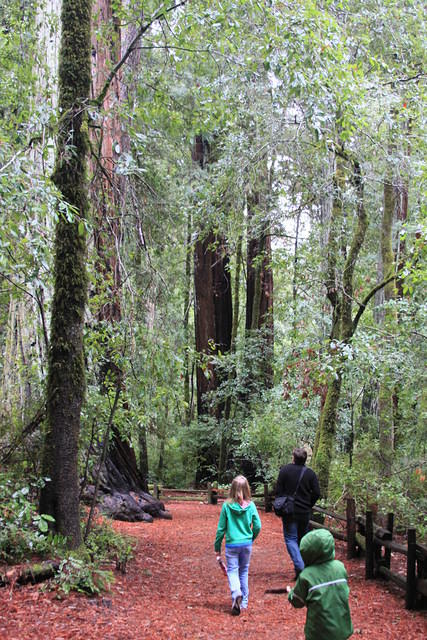 Christmas 2010 307.jpg