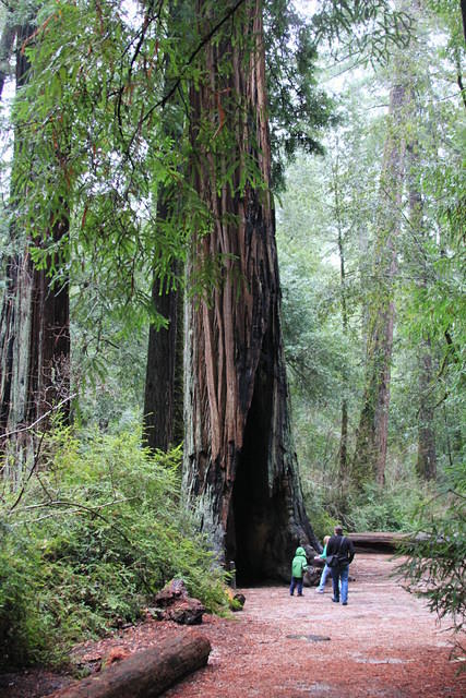 Christmas 2010 309.jpg