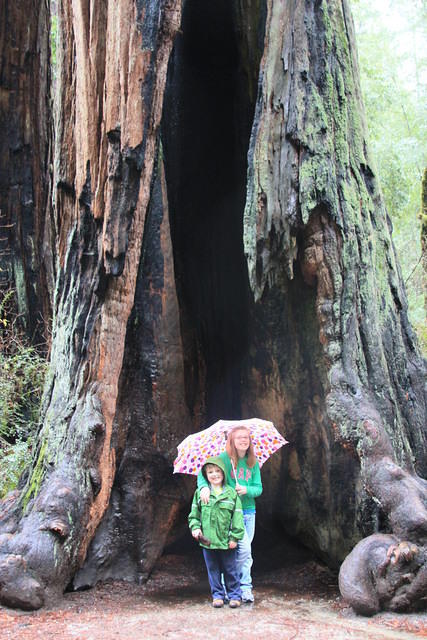 Christmas 2010 311.jpg