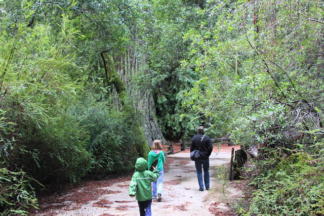 Christmas 2010 313.jpg