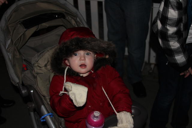 Christmas 2010 509.jpg