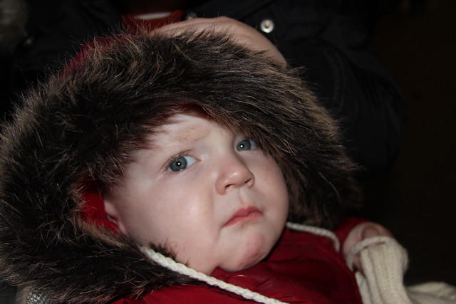 Christmas 2010 513.jpg