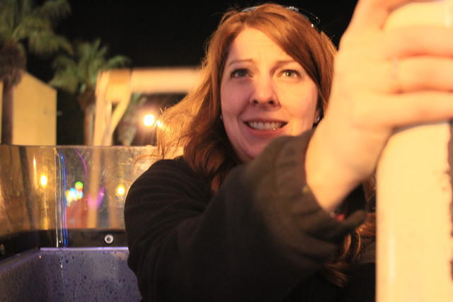 Christmas 2010 564.jpg