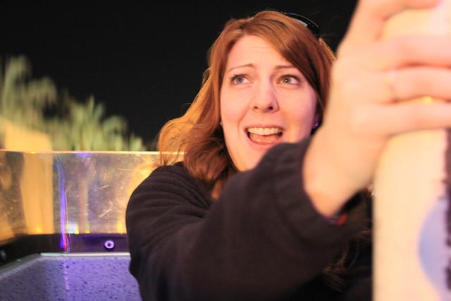 Christmas 2010 565.jpg