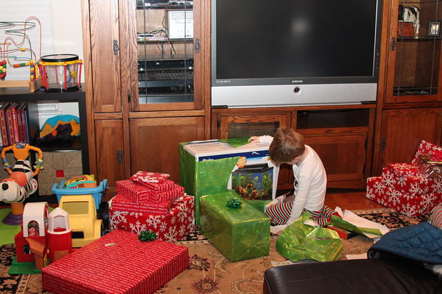 Christmas 2010 606.jpg