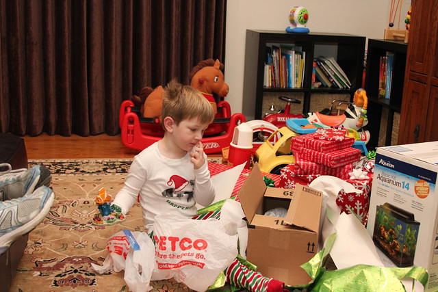 Christmas 2010 610.jpg