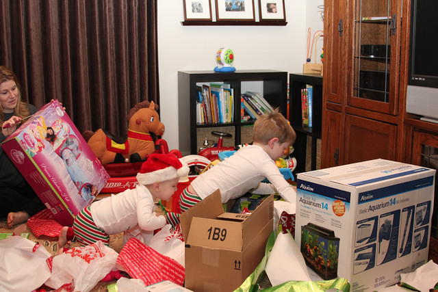 Christmas 2010 619.jpg