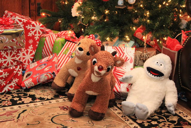 Christmas 2010 670.jpg