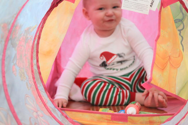 Christmas 2010 674.jpg