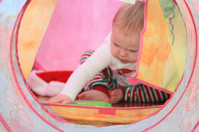 Christmas 2010 676.jpg