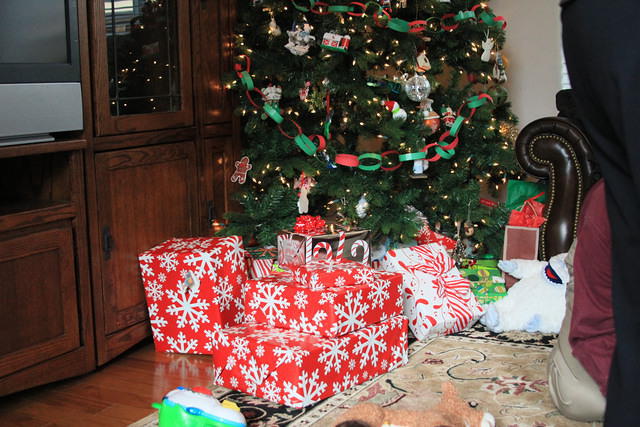 Christmas 2010 685.jpg