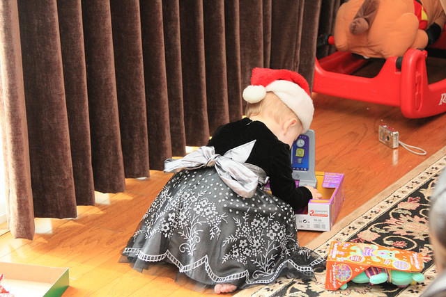 Christmas 2010 712.jpg