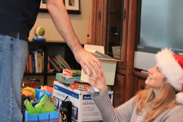 Christmas 2010 761.jpg