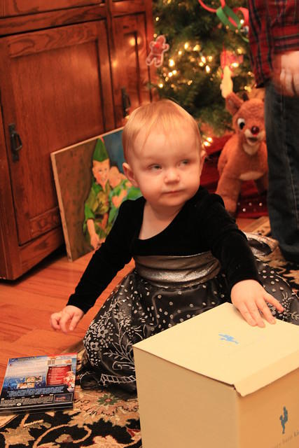 Christmas 2010 893.jpg