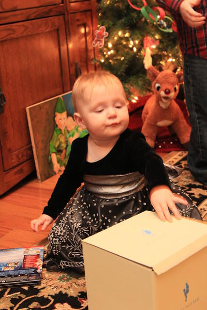 Christmas 2010 894.jpg