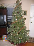 12-26-03 015.jpg
ACG   Julie's tree