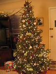 12-26-03 016.jpg
ACG  Julie's tree