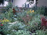Garden yard 029