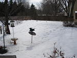 Winter 2007-8 002.jpg