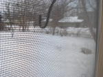 Winter 2007-8 004.jpg