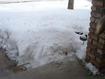 Winter 2007-8 005.jpg