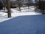 Winter 2007-8 010.jpg