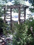 Arbor2004 011