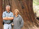 muir woods (7-28-04) 003.jpg