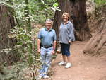muir woods (7-28-04) 042.jpg