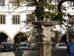 Litomerice 2010 053.jpg