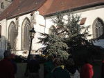 Wittenberg 2010 024.jpg