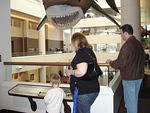 San Diego Feb 2009 085.jpg