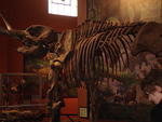San Diego Feb 2009 088.jpg