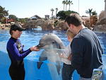 San Diego Feb 2009 176.jpg