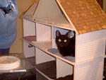 Zoey_Jan2006 018.jpg