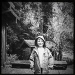 Christmas 2010 127.jpg