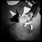 Christmas 2010 163.jpg