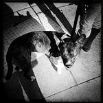 Christmas 2010 166.jpg