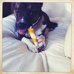 Christmas 2010 243.jpg